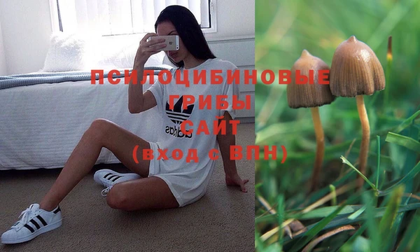 первитин Белокуриха