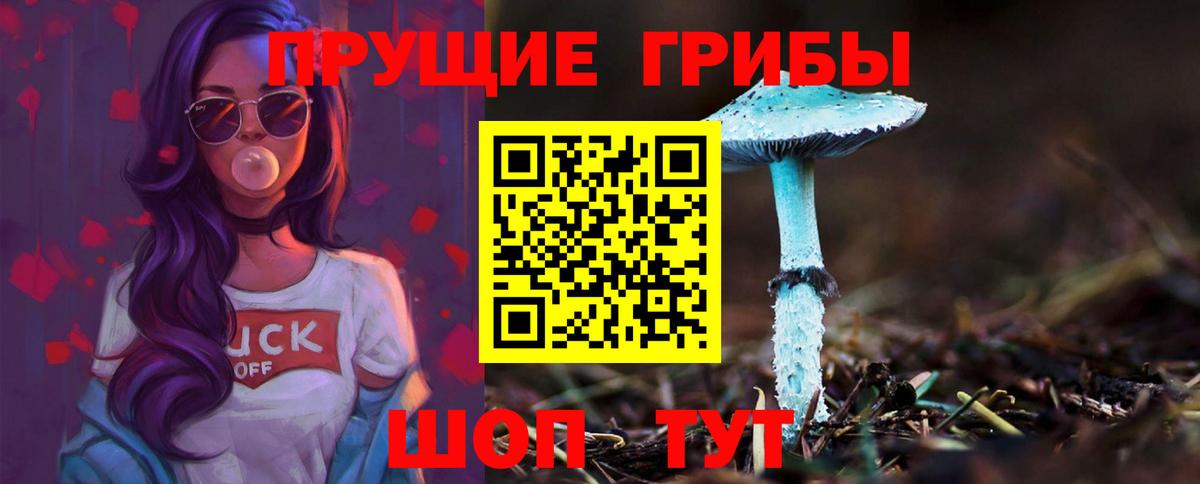 Саяногорск  Галлюциногенные грибы мицелий  Вход с VPN 